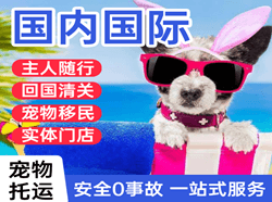 中川机场托运国际宠物托运 【国